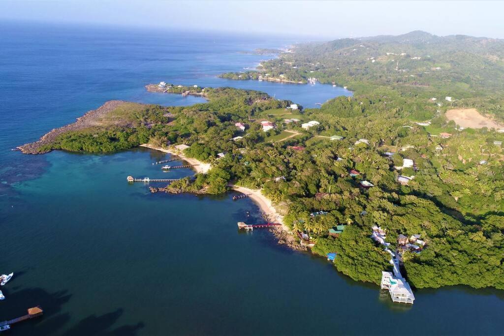 The Dock Resort Over Water Retreat West End Buitenkant foto