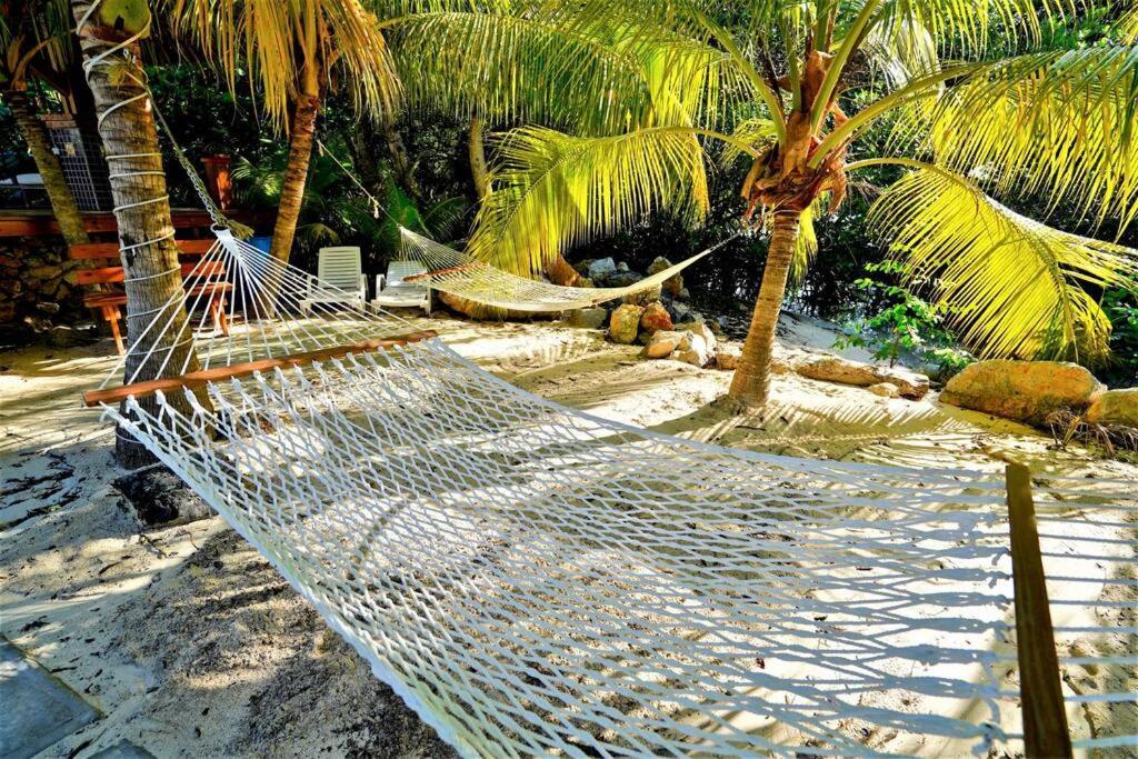 The Dock Resort Over Water Retreat West End Buitenkant foto