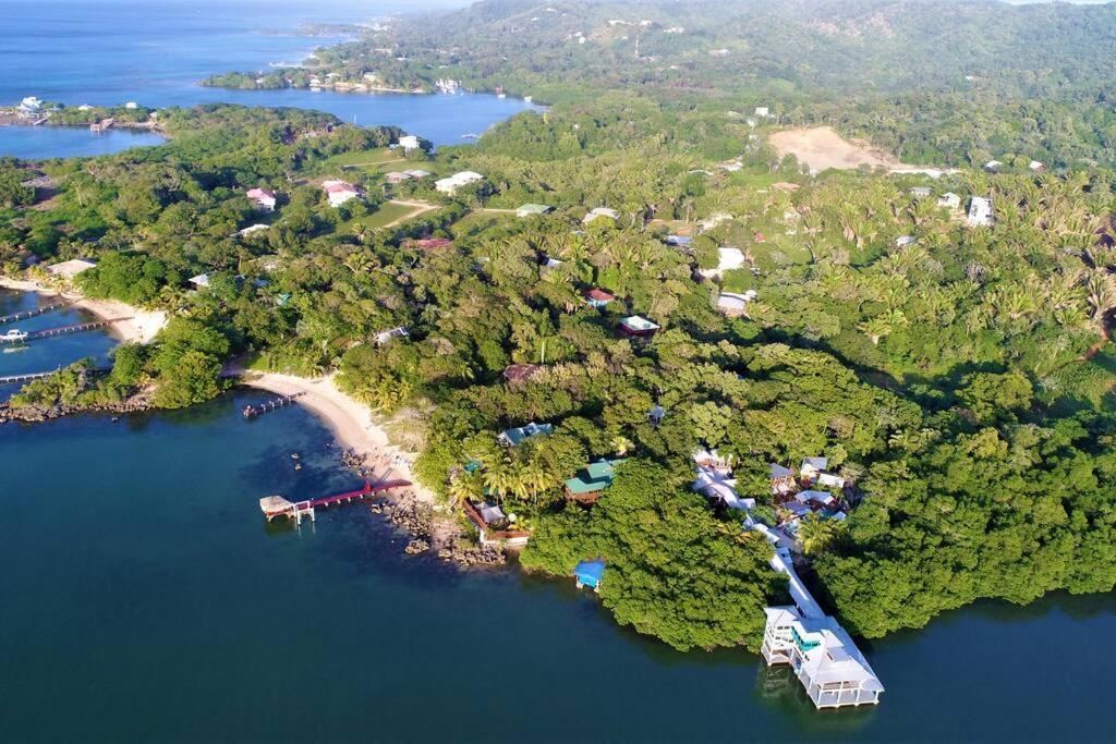 The Dock Resort Over Water Retreat West End Buitenkant foto